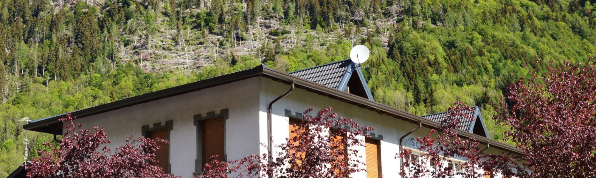 casa_rosina_overview